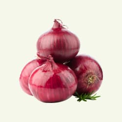 Shallot Red onion