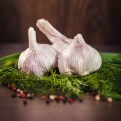 Farm Fresh Garlic