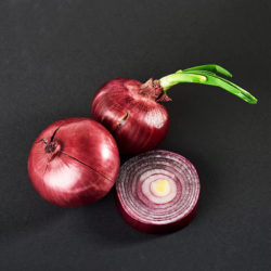 Shallot Red onion